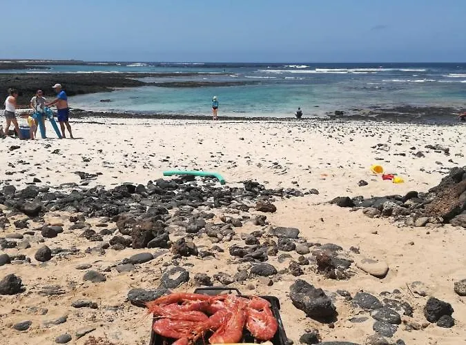 Furgocamper H1 אוהל מפואר Tetir